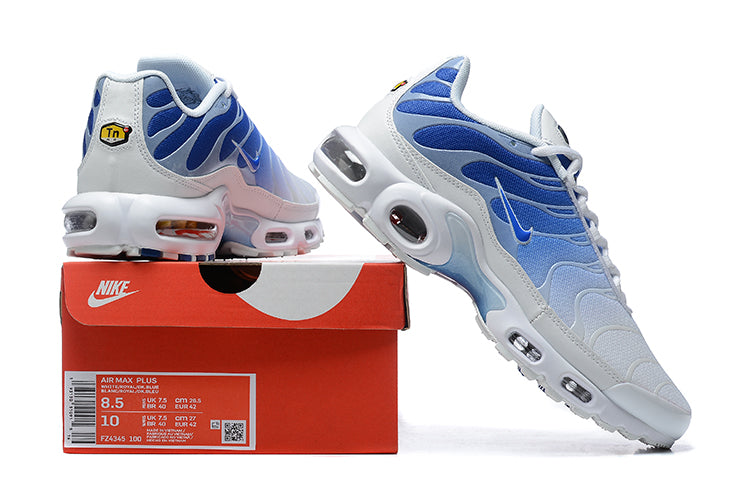 Tênis Nike Air Max Plus (Sob encomenda)