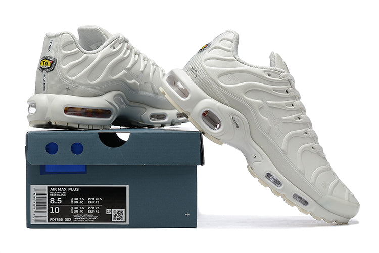 Tênis Nike Air Max Plus A-COLD-WALL Platinum Tint (Sob encomenda)