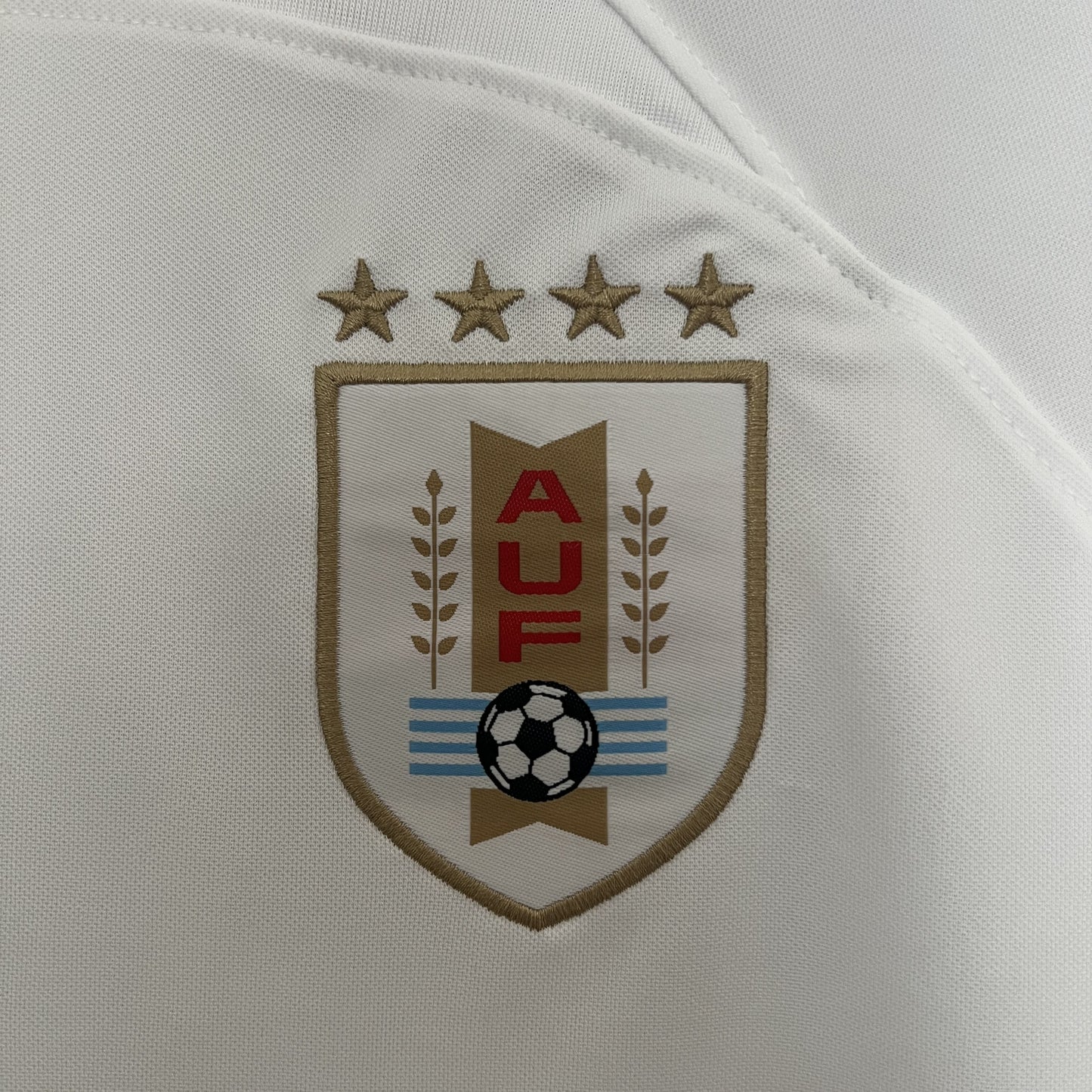 Camisa Uruguai Edição Especial 2024 Torcedor (Sob encomenda)