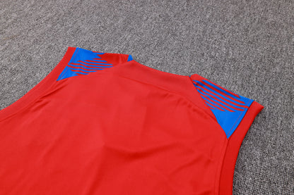 Conjunto de Treino Barcelona 23/24 (Sob encomenda)