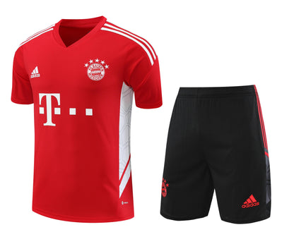 Conjunto de Treino Bayern de Munique 23/24 (Sob encomenda)