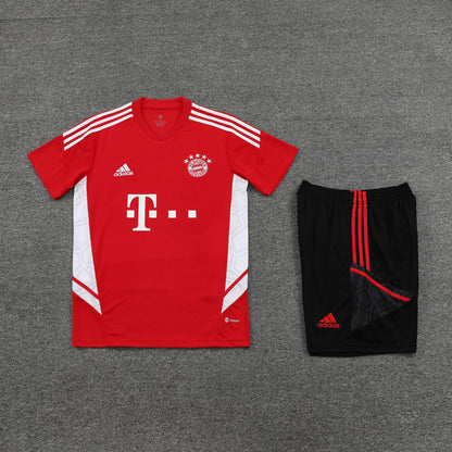 Conjunto de Treino Bayern de Munique 23/24 (Sob encomenda)