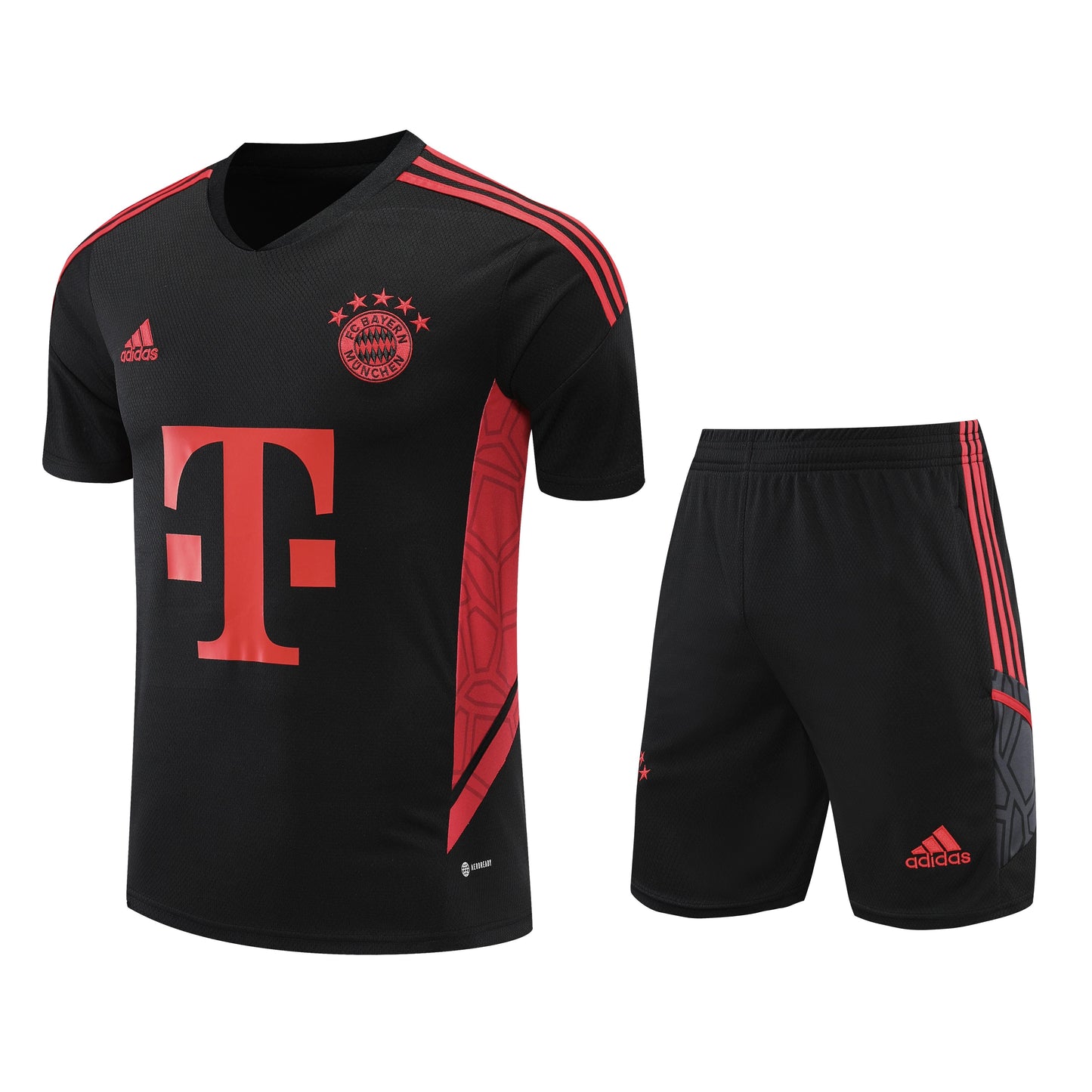 Conjunto de Treino Bayern de Munique 23/24 (Sob encomenda)