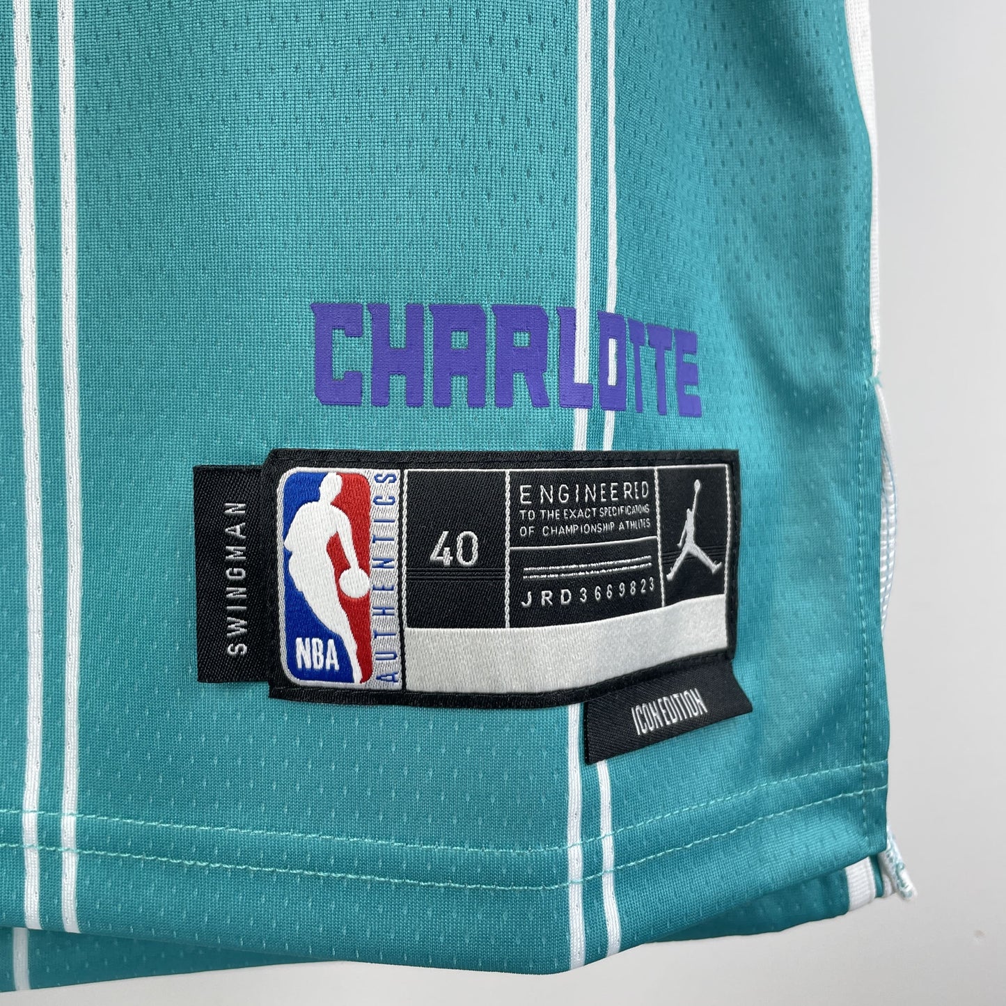 Regata Charlotte Hornets NBA 2023 Icon Edition Swingman Masculina (Sob encomenda)