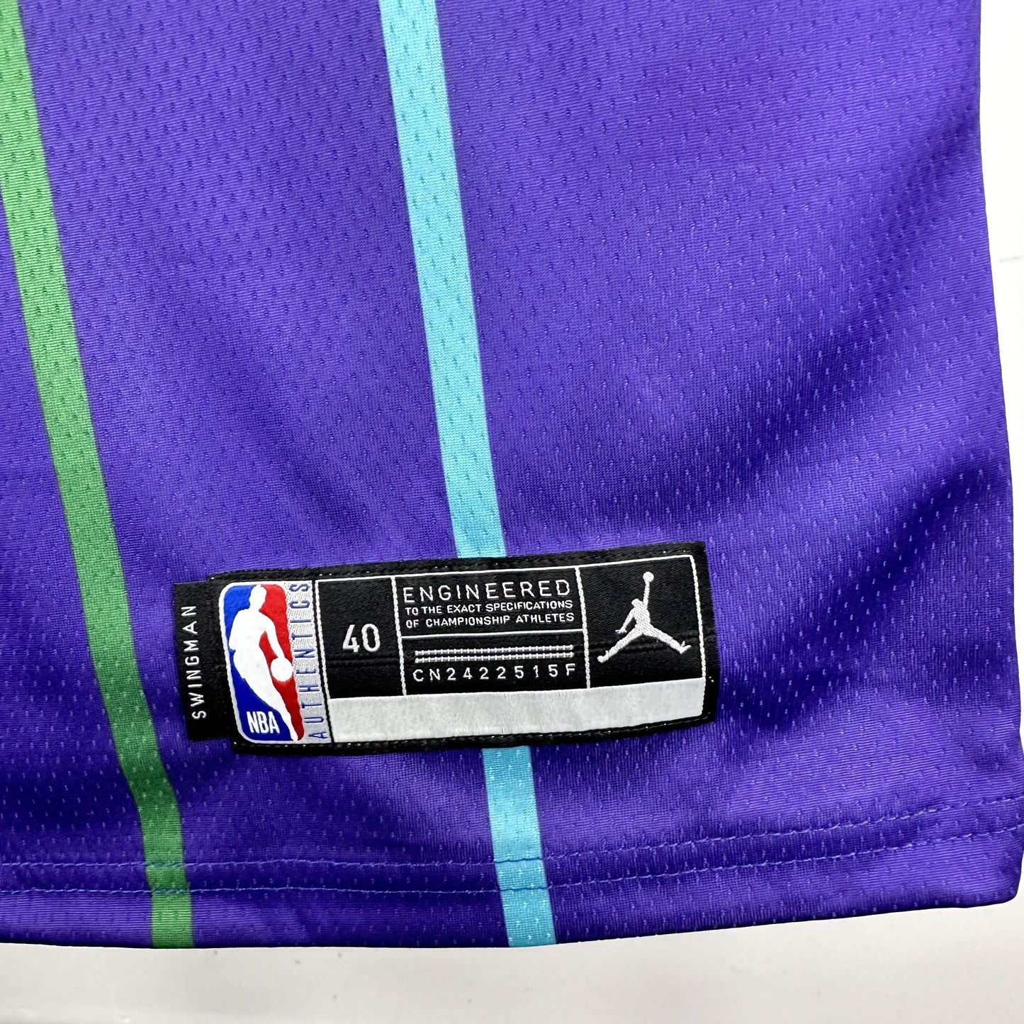 Regata Charlotte Hornets NBA 2019 Classic Edition Swingman Masculina (Sob encomenda)