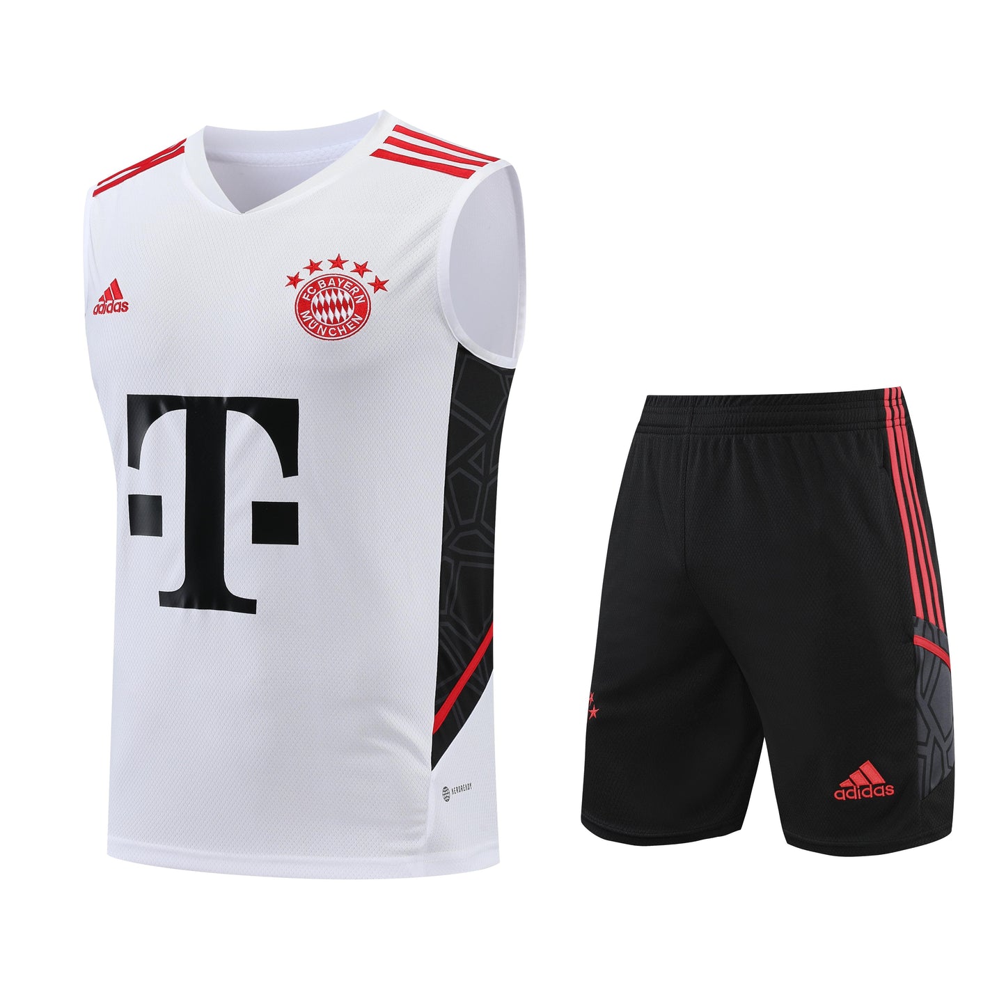 Conjunto de Treino Bayern de Munique 23/24 (Sob encomenda)